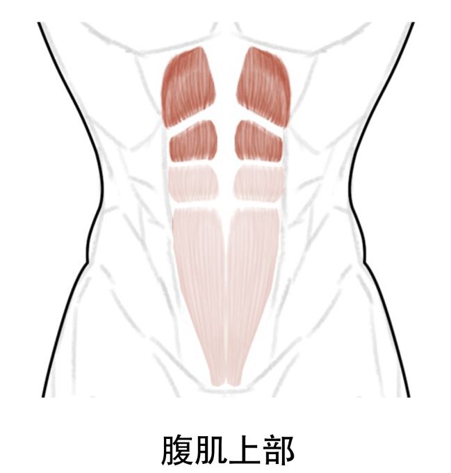 练腹肌器具_用器材练腹肌_练腹肌最有效的器材